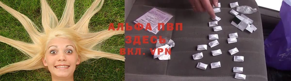 спиды Надым