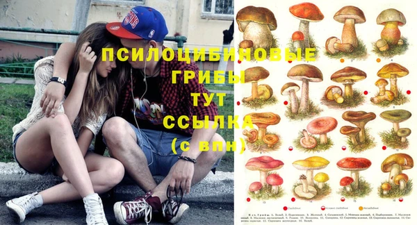кокс Билибино