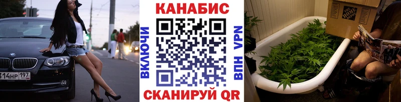 mega вход Красноуральск Бошки Шишки план